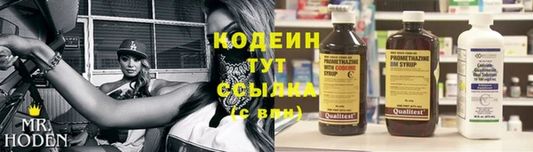 шишки Дмитриев