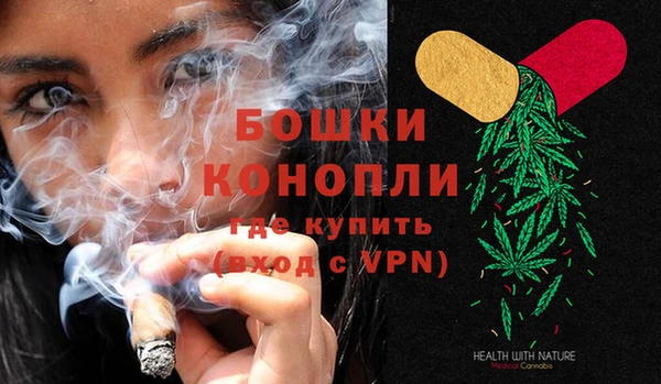 шишки Дмитриев