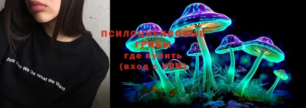 шишки Дмитриев