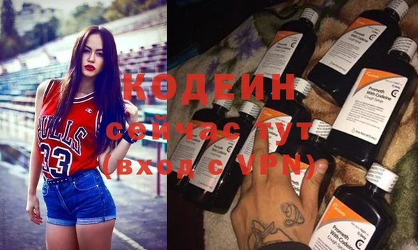 шишки Дмитриев