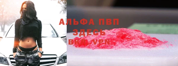 шишки Дмитриев