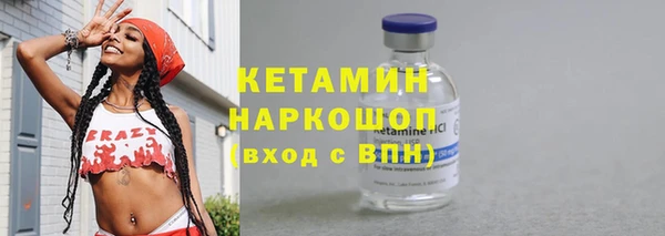 шишки Дмитриев