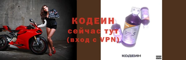 шишки Дмитриев