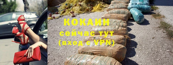 шишки Дмитриев