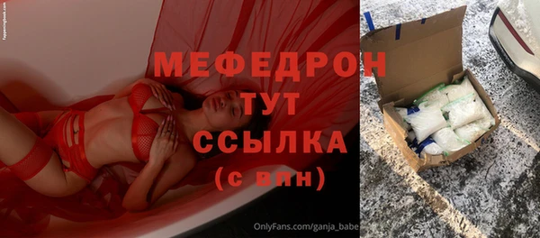 шишки Дмитриев