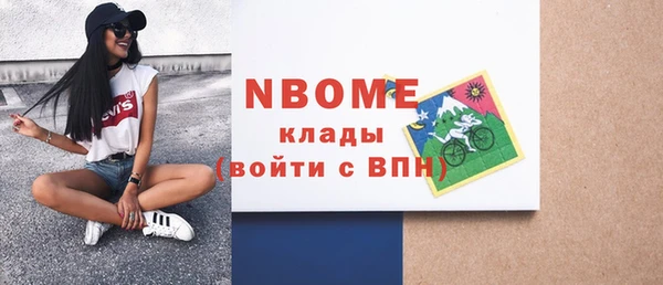 шишки Дмитриев