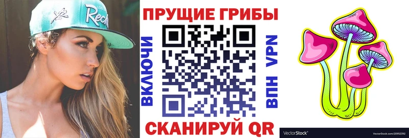 Псилоцибиновые грибы Psilocybine cubensis  Купить закладки  Дзержинск 